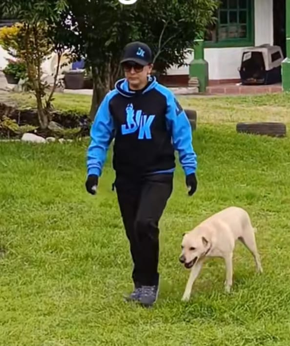 Adiestramiento canino en Quito