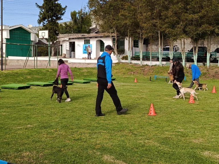 La escuela canina del profe