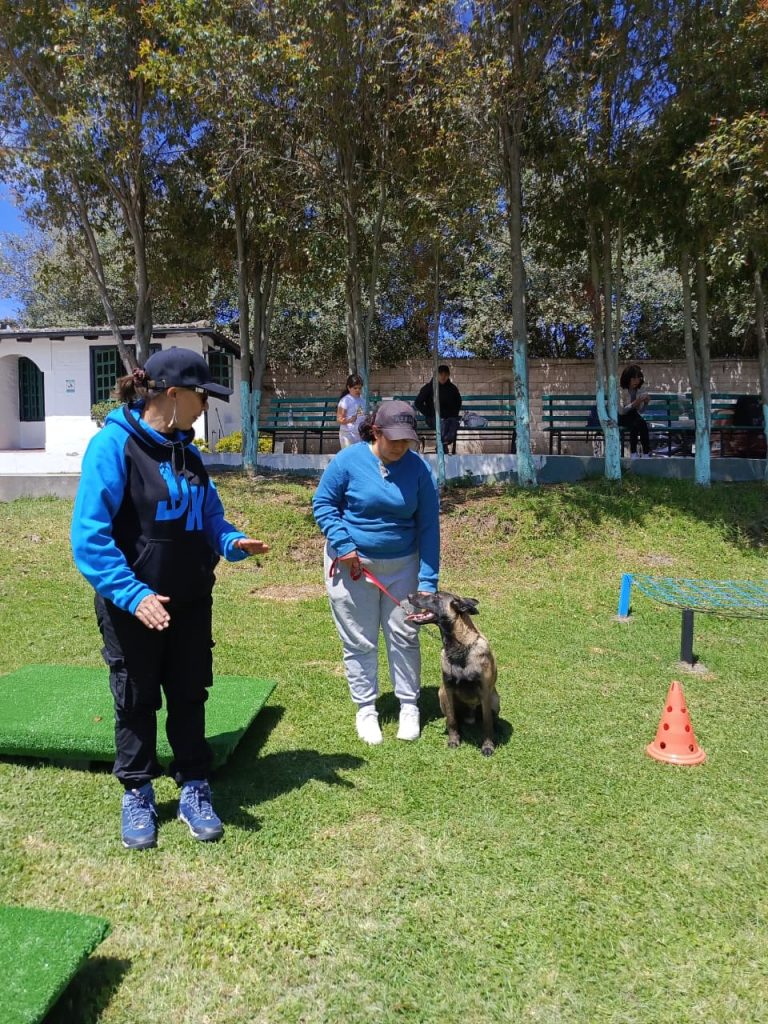 Adiestramiento canino en Quito