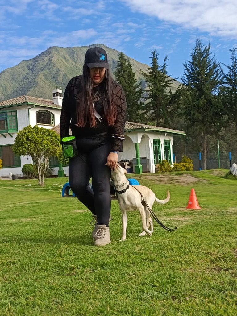 adiestramiento de perros en Quito