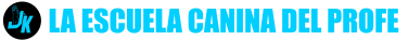 La escuela canina del profe