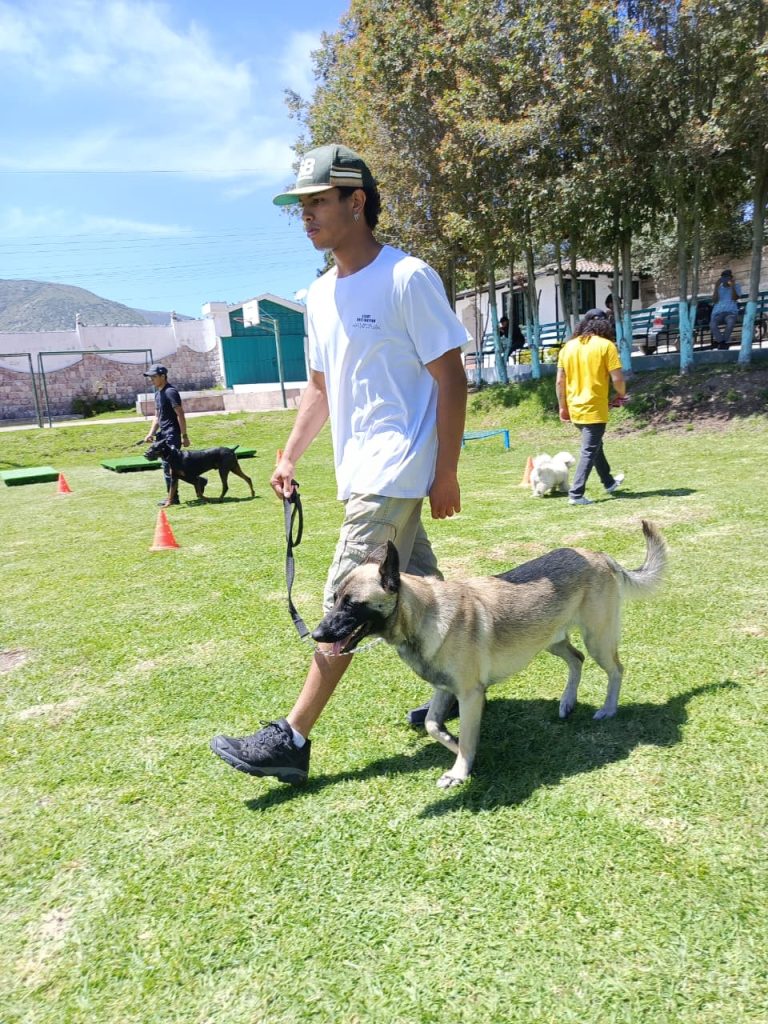 Adiestramiento canino en Quito