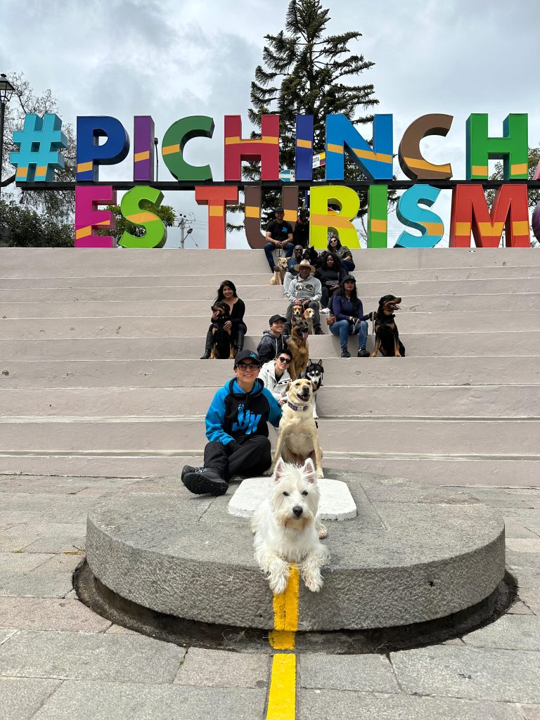 Adiestramiento canino en Quito