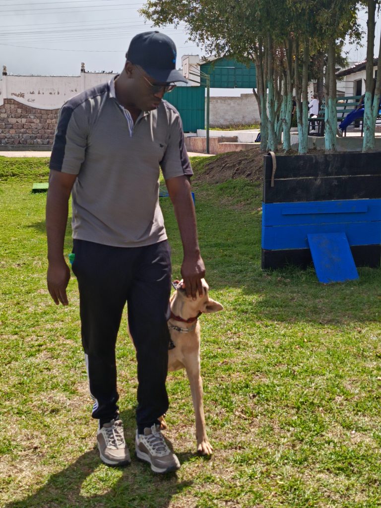 Adiestramiento canino en Quito