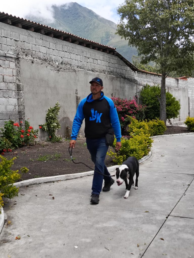 Adiestramiento canino en Quito