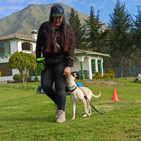 adiestramiento de perros en Quito